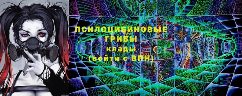 Псилоцибиновые грибы MAGIC MUSHROOMS  darknet формула  Тихорецк 